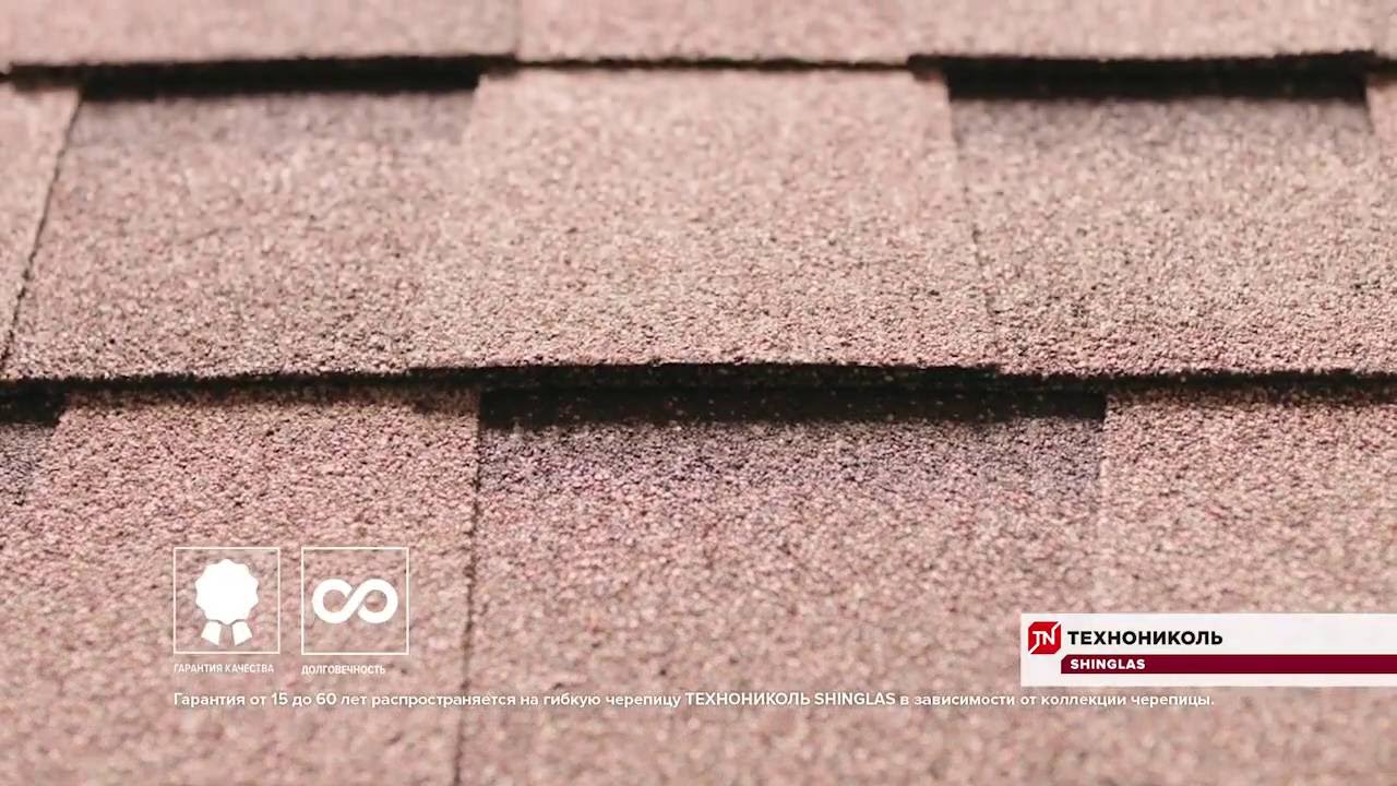 аризона шинглас фото онлайн