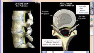 Virtual Consultation Version 9.0