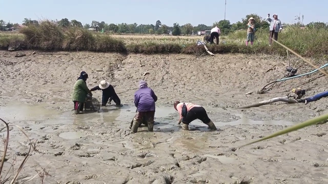 เหมาสระ 500 คุ้มบ่ครับผม