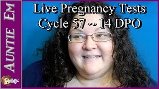 Live Pregnancy Tests | Cycle 57, 14 DPO