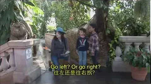 Field Trip - Lost at the U.S. Botanic Garden