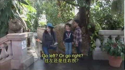 Field Trip - Lost at the U.S. Botanic Garden