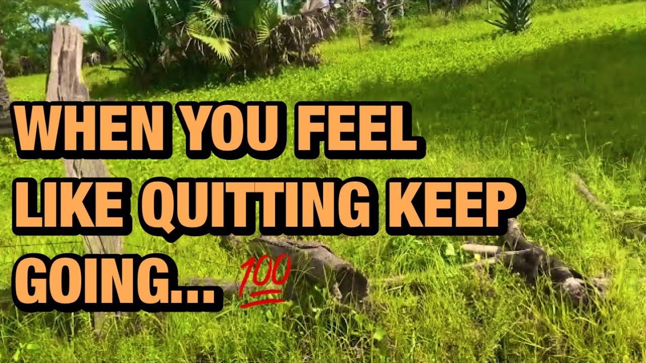 When you feel like quitting, but you keep going. - YouTube
