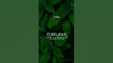 سورة_يوسف#ياسر_الدوسري #القرآن_الكريم