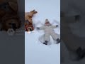 雪と赤ちゃんとわんこ🐶　snow dog and Baby #japan #cute #ai #baby #kawaii #かわいい #犬　#dog #残念そうな顔 #funny #snow