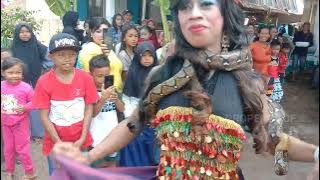 Ada Ratu Ular Di Jaranan Pecari Kuning Live Ledok