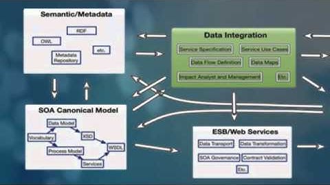 Managing Data with Master Data Management