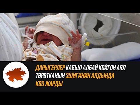 Video: Вампирлер кантип төрөлөт?