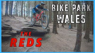 Bike Park Wales | The RED Mtb Trails