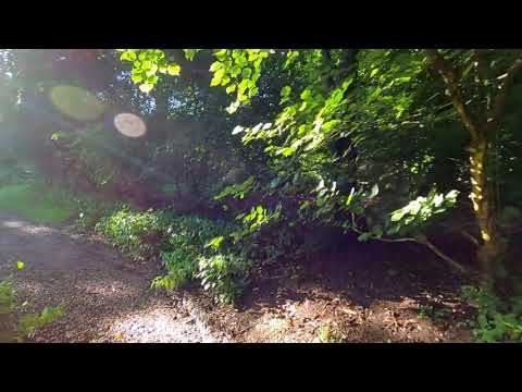 Country Mouse Walks - Snipe Dales Country Park Uncut