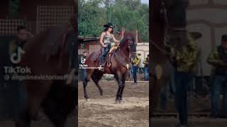 caballos finos y bailando usa este audio para tus caballos