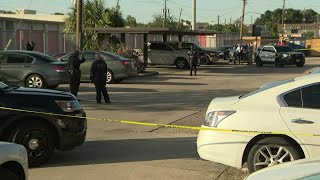 Man Shot and Killed at Apartment Complex