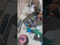 6 de setembro de 2025