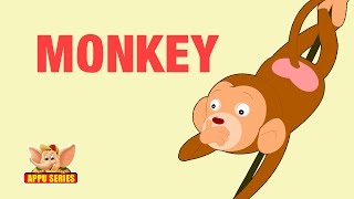 Animal Facts - Monkey