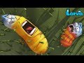 Larva Cartoon Full Movie 2019 | Wild Wild World, | Cartoons For Children