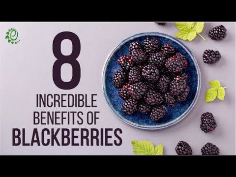 Why Eating Blackberries Is Important For You | Organic Facts