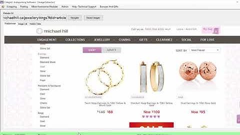 How to Scrape and Download Images from any Website (Tutorial 2020)
