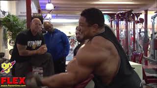 Roelly 