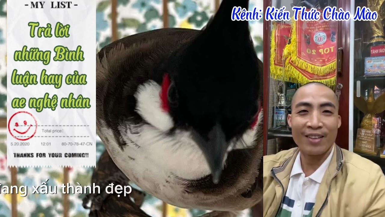 11-09//Trả lời những câu bình luận hay của ae nghệ nhân từ Nhất Tiến Lập