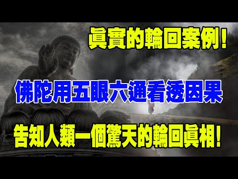 真實的輪回案例！佛陀用五眼六通看透因果，告知人類壹個驚天的輪回真相！妳的前世是今生不幸的來源！看完妳就明白了！#輪回#因果