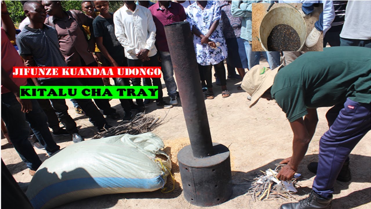 Jinsi ya kuandaa udongo wa kitalu cha tray,KITALU CHA MBOGA MBOGA YouTube