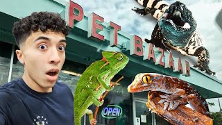 I went to this AWESOME Reptile Store in FLORIDA!! (Florida Series EP.1)