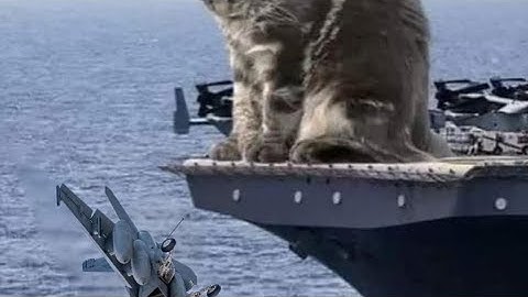 Statistics modeling, and Finance chapter 3 measures of dispersion page 18 calculator solution ￼