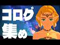 新年度の抱負を語りながらコログを集める【Switch2 Edition】