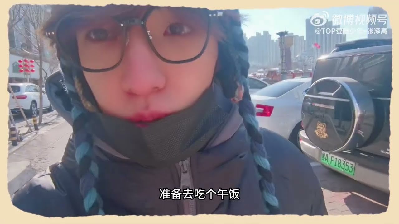 【TOP登陆少年-张泽禹】带大家云游哈尔滨 今天打卡东北盒饭[酷] #ZhangZeyu #TrươngTrạchVũ 
