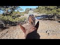 Ride in National Forest to Check Trail Cams #subscribe