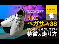《さすがベストセラー》 初心者にも分かりやすい「ペガサス38」高性能の解説レビュー