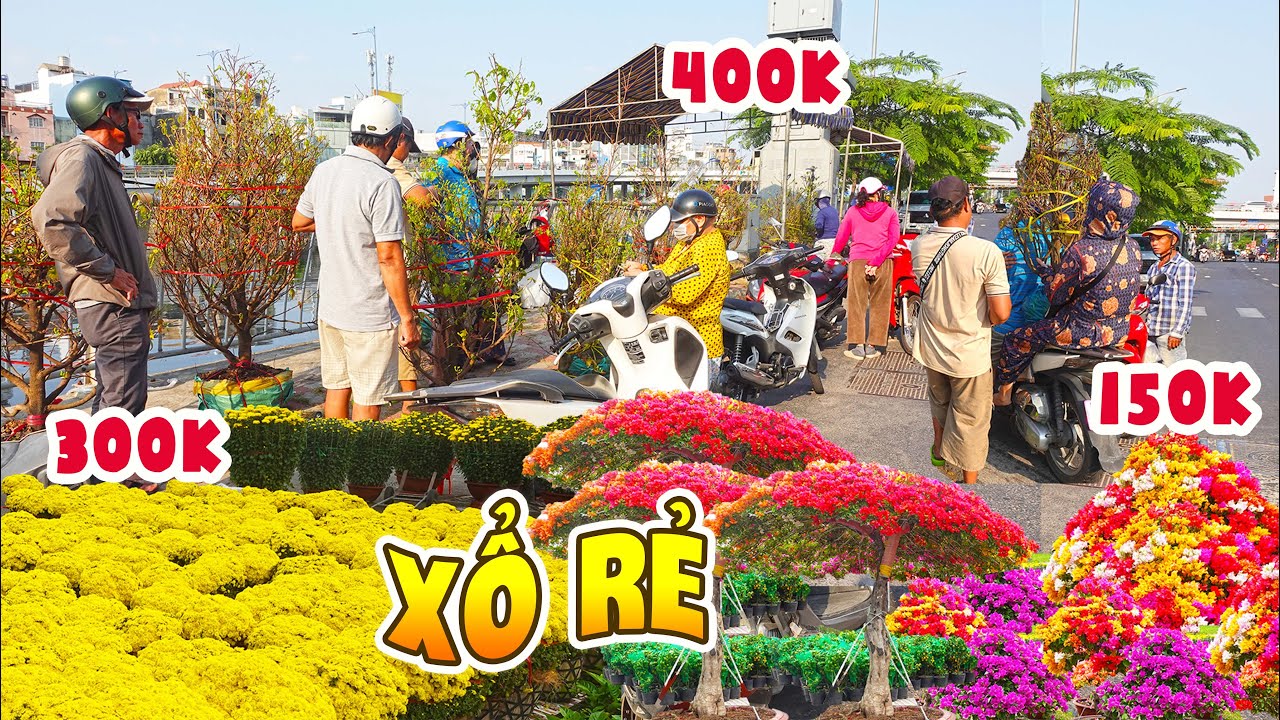 Vỡ Trận Chợ Hoa Tết 2026 Bến Bình Đông Xổ Rẻ Tràn Lan, Mai Đẹp 300k 400k Giá Rẻ Như Cho Luôn Trời Ơi