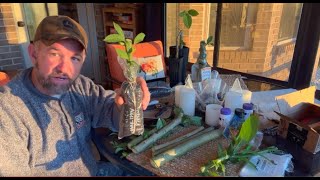 видео: Труба ангела-укоренителя | Один новый метод! картинка: Труба ангела-укоренителя | Один новый метод!