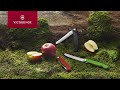 Victorinox  swiss classic picnic knife