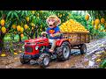 Monkey Farmer Drives Tractor to Harvest Mangoes &amp; NEARLY CRASHES in EXTREME Mud CHAOS!