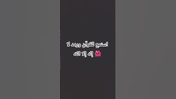 #غزة_تواجه_الإبادة #راحة_نفسية #تلاوة_هادئة #غزة