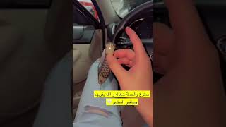 حملة مكافحة المخدرات🇸🇦