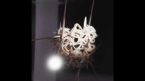 I7HVN - Haruspicy [संस्कार Rites]