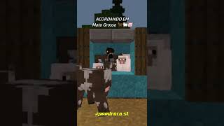 qual seu estado 😂   #minecraft #memes #minecraftmemes #shorts #memesbrasil #jogos #fyp #humor #video