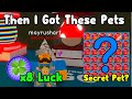 I Hatched Eggs For 24 Hours With x8 Luck Then I Got These Pets! - Bubble Gum Simulator