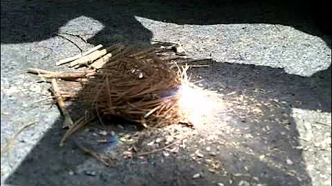 Fresnel Lens Fire Starting Demo