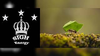 Fast Cleanse EXTREMELY POWERFUL!!!(Energetically Programmed)