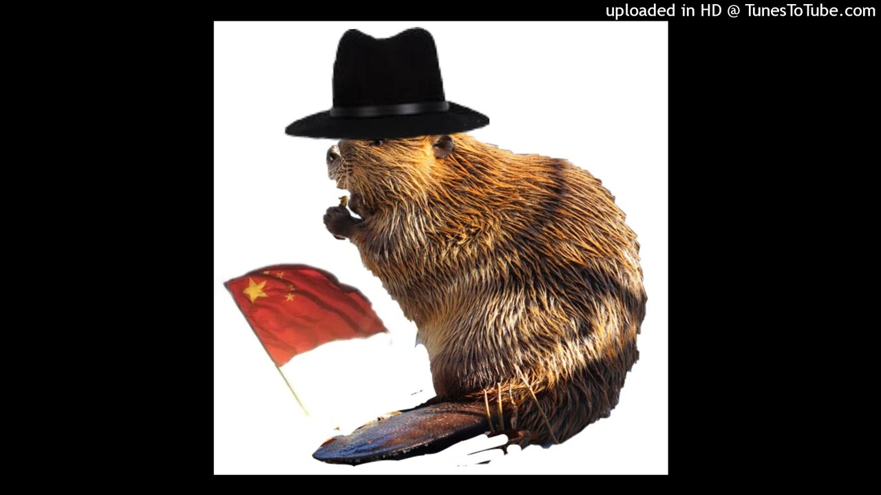 [free] kita x prettifun x rexv2 x maajins type beat 