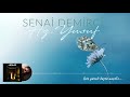 Senai Demirci  -  Hz.Yusuf