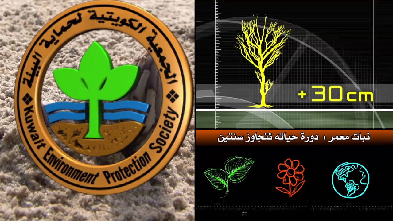 برنامج كل يوم نبته حلقة نبات الهالوك الحلقة الخامسة والعشرون