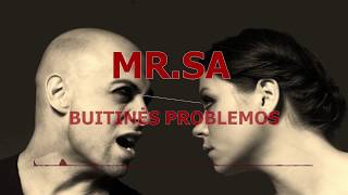 MR.SA - KARANTINAS  2 (BUITINĖS PROBLEMOS)