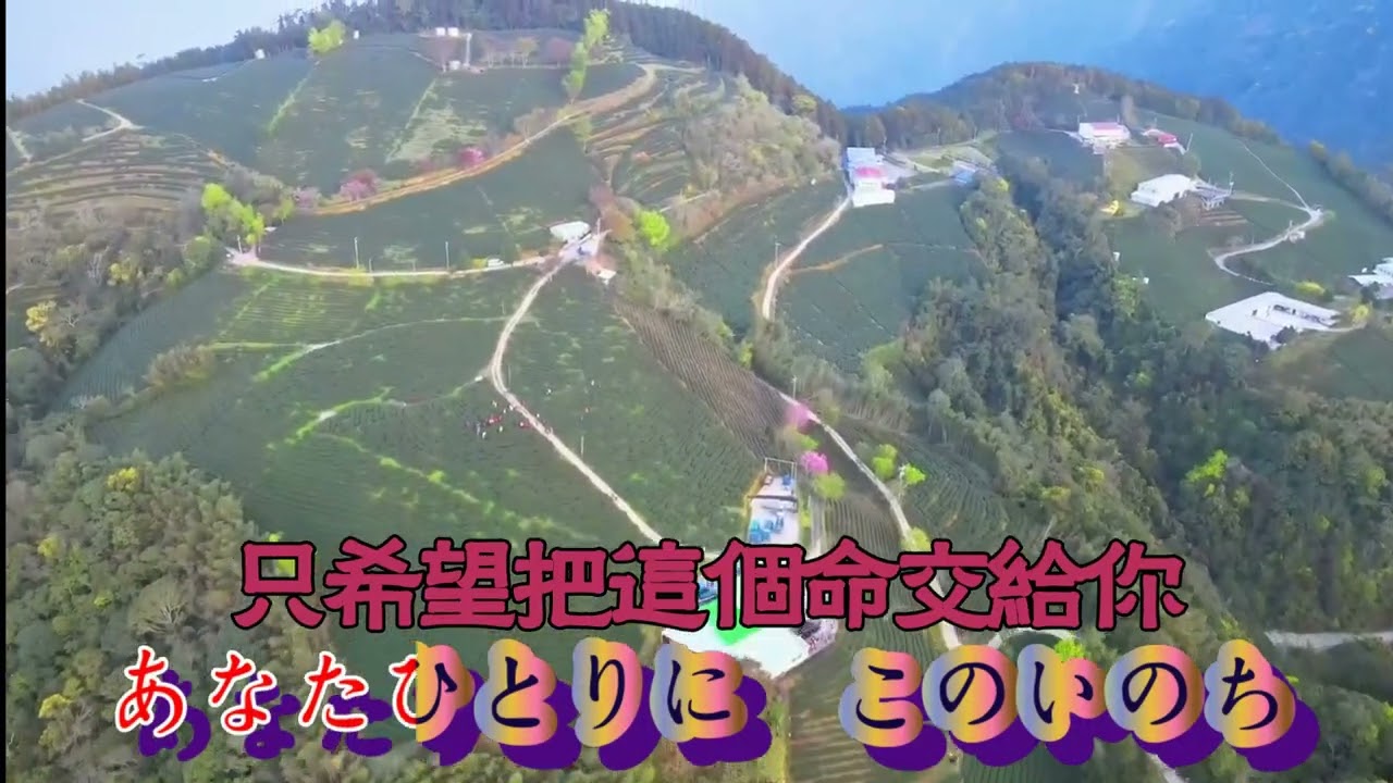 女のブルース藤圭子【高音質全音標譯文HD】 - YouTube