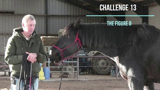 Horsemanship Challenge 13:  Can you do a figure 8?