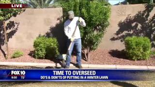 An expert landscaper shows us the tools needed to put in a winter lawn
and do’s don’ts so you have beautiful green grass all long.