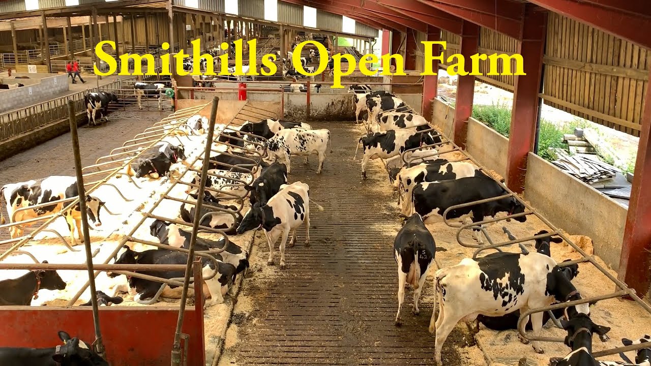 A Visit To Smithills Open Farm, Bolton, Greater Manchester
